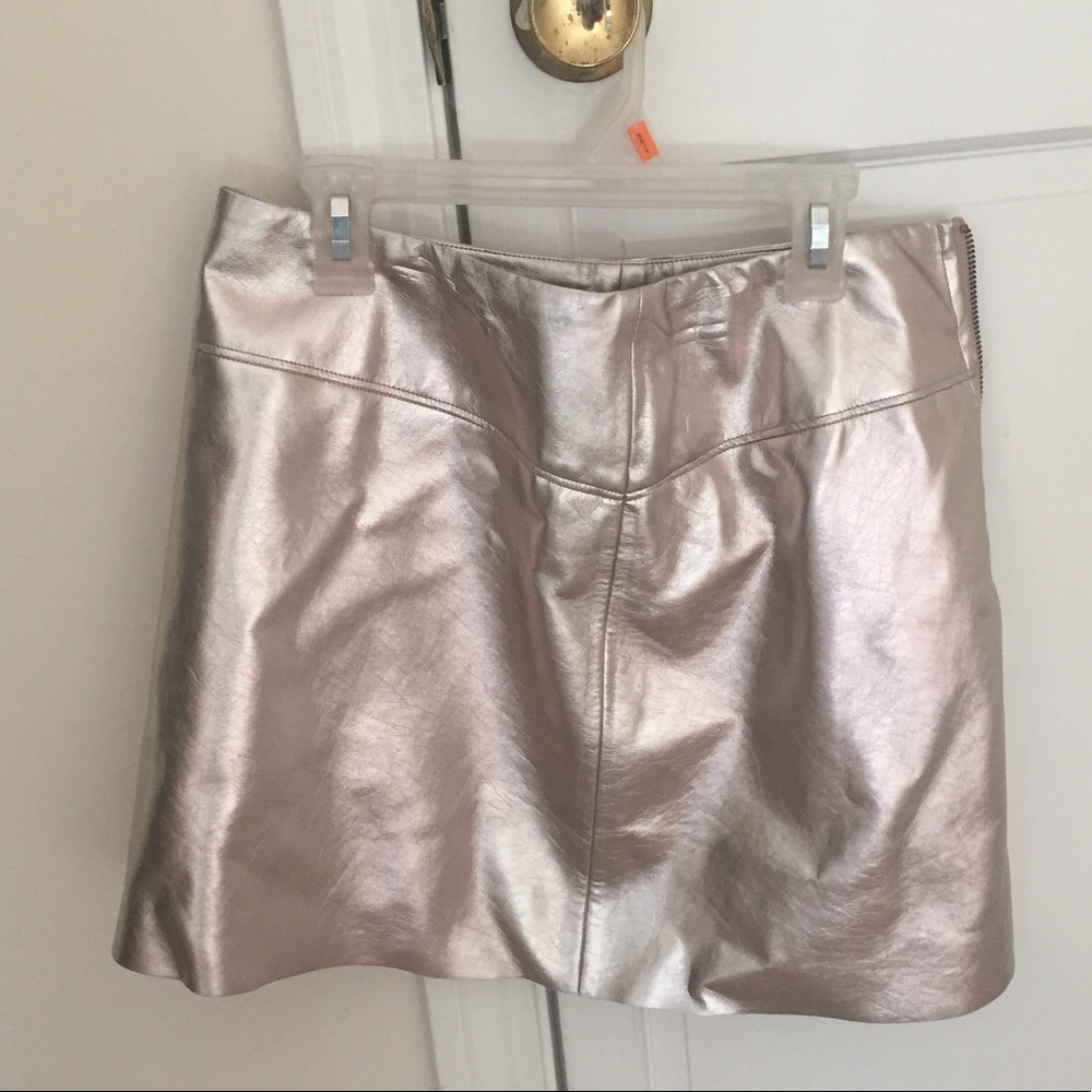 Silver skirt